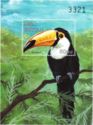 Common Toucan (Ramphastos toco)