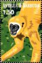 Lar Gibbon (Hylobates Iar)