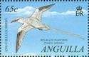 Red-billed Tropicbird (Phaethon aethereus)
