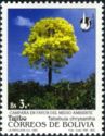 Tabebuia chrysantha