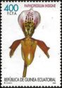 Paphiopedilum insigne