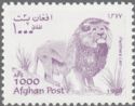 Lion (Panthera leo)