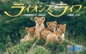Commodity Paper - Lions Life / Daikyo