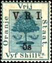 Orange tree, overprinted
