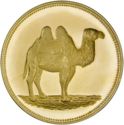 20 Riyals (Camel)