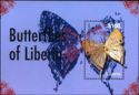 Butterflies of Liberia