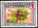 Red Skimmer (Orthemis ferruginea) - Overprinted