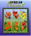 Caribbean Flowers