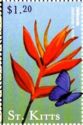 Heliconia (Heliconia humilis)