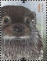 Common otter (Lutra lutra)