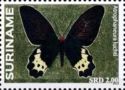 Swallowtail Butterfly (Atrophaneura luchti)