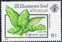 Dieffenbachia seguine