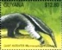 Giant Anteater (Myrmecophaga tridactyla)