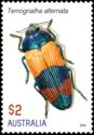 Variable Jewel Beetle (Temognatha alternata)