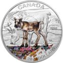 20 Dollars (Baby Animals: Caribou)