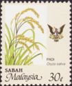 Agricultural Products- Oryza sativa