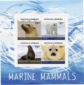 Marine Mammals (2)
