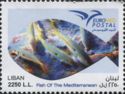 EuroMed Postal - Fish of the Mediterranean