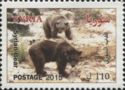Syrian Brown Bear (Ursus arctos syriacus)