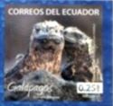Marine Iguanas (Amblyrhynchus cristatus)