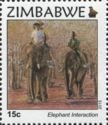 African Elephant (Loxodonta africana), with Riders
