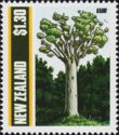 Kauri in Maori (Agathis australis)