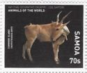 Common Eland (Taurotragus oryx)