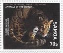 Clouded Leopard (Neofelis nebulosa)