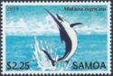 Blue Marlin (Makaira nigricans)