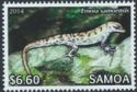 Samoa Skink (Emoia samoensis)