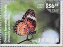 Brown Pansy Butterfly (Cethosia penthesilea)