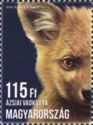 Dhole (Cuon alpinus)