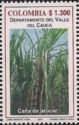 Sugar Cane