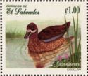 Blue-winged Teal (Anas discors)