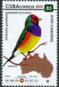 Gouldian Finch (Chloebia gouldiae)