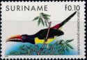 Green Aracari (Pteroglossus viridis)