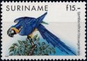 Blue-and-yellow Macaw (Ara ararauna)