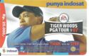 Tiger Woods PGA Tour 07