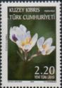 Crocus cyprlus