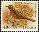 Redwing (Turdus iliacus)
