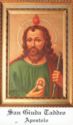 "Jude Thaddaeus Apostle"