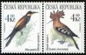 European Bee-eater (Merops apiaster), Eurasian Hoopoe (Upupa