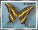 Thoas Swallowtail (Papilio thoas ssp. brasiliensis)