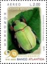 Bronze Jewel Scarab (Chrysina spectabilis)
