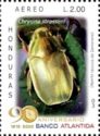 Jewel Scarab Beetle (Chrysina strasseni)