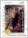 Ground Beetle (Odontocheila tawahka)
