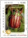 Jewel Scarab Beetle (Chrysina quetzalcoatli)