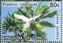 Red-tailed Tropicbird (Phaethon rubricauda)
