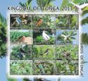 Birds of Tonga