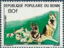 German Shepherd (Canis lupus familiaris)